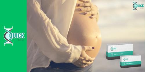 Ali je mogoče opraviti prenatalni test očetovstva med nosečnostjo?